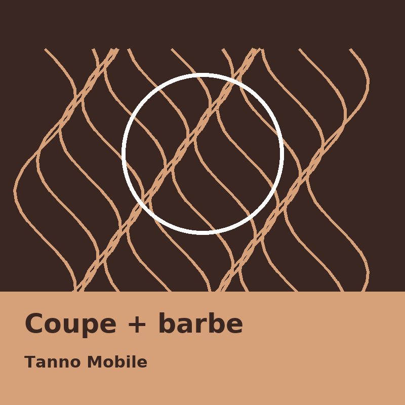 Coupe + barbe