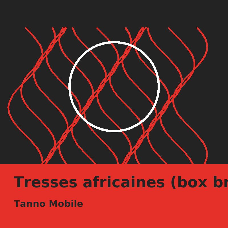 Tresses africaines (box braids)