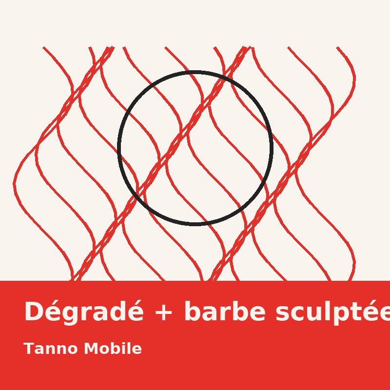 Dégradé + barbe sculptée