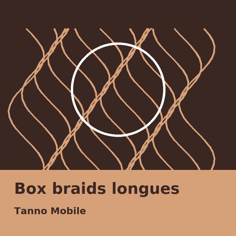 Box braids longues