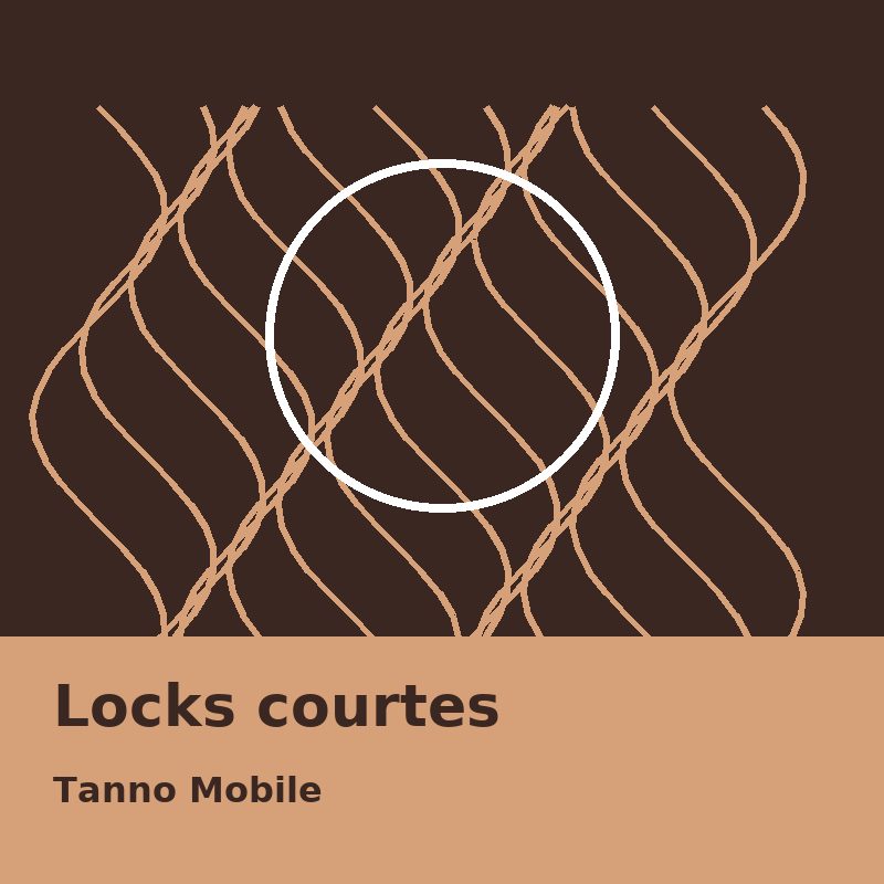 Locks courtes